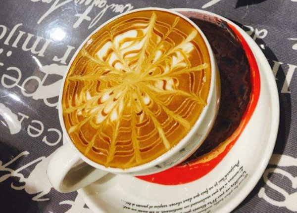 古树咖啡 古树咖啡