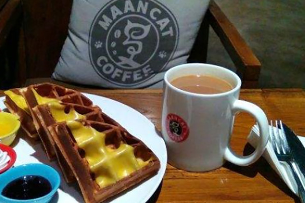 漫猫咖啡 漫猫咖啡