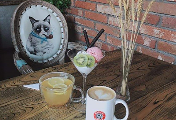 漫猫咖啡 漫猫咖啡