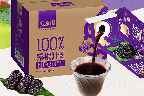 宝桑园BOSUN加盟